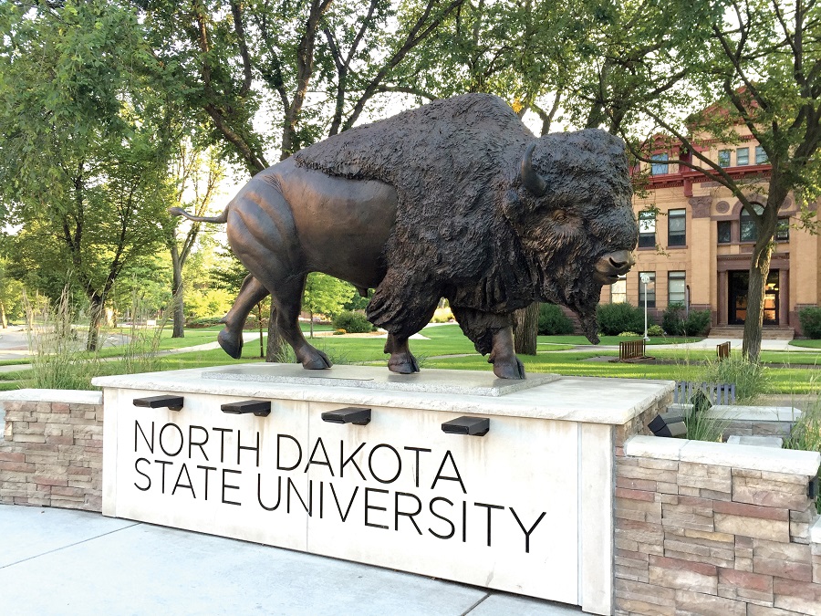 Photo: Bison statue on the NDSU campus